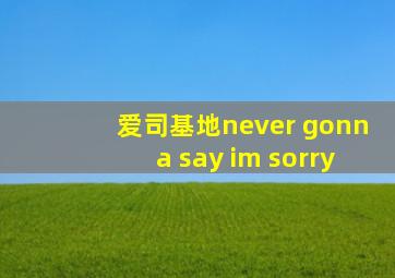 爱司基地never gonna say im sorry